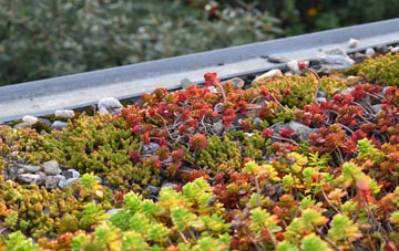 the cost of Braeswick green roof installation