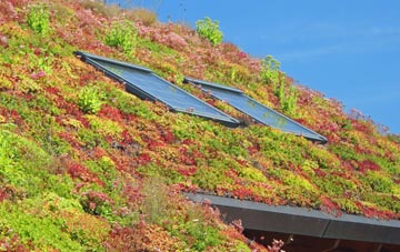 Braeswick living roof systems