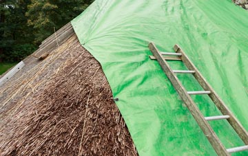 maintaining Braeswick thatch