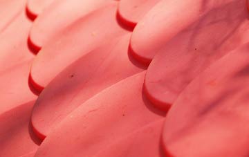 Braeswick plastic roof costs