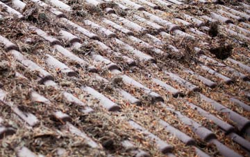 Braeswick roof cleaning companies