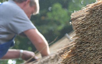 professional Braeswick thatchers