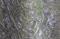 Braeswick fibreglass roof work