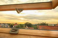 rated Braeswick roof window companies